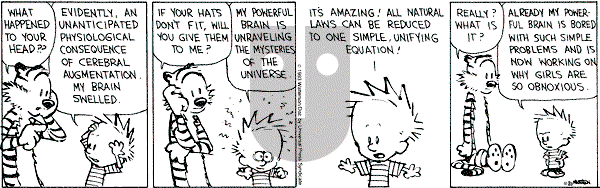 Calvin and Hobbes - Saturday November 20, 1993 Comic Strip