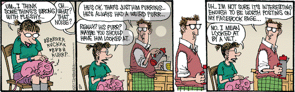 Monty on Tuesday February 14, 2017 Comic Strip