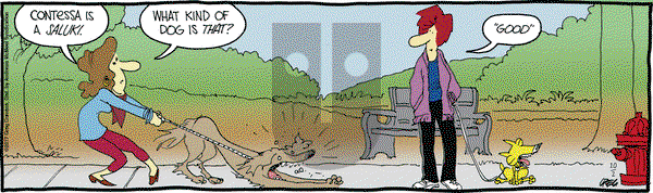 The Buckets on Monday October 2, 2017 Comic Strip