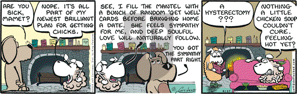 DeFlocked on Thursday August 27, 2009 Comic Strip