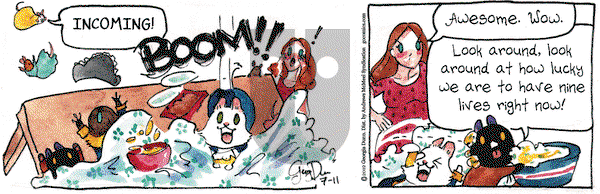 Breaking Cat News on Thursday July 11, 2019 Comic Strip