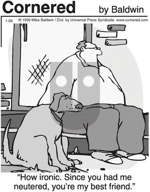 Cornered on Tuesday January 26, 1999 Comic Strip