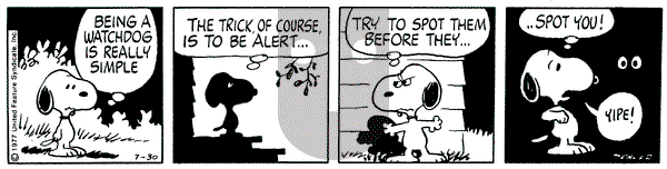 Peanuts on Saturday July 30, 1977 Comic Strip