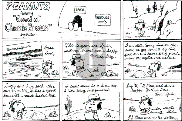 Peanuts - Sunday June 15, 1980 Comic Strip
