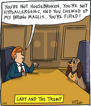The Argyle Sweater on Wednesday January 29, 2014 Comic Strip