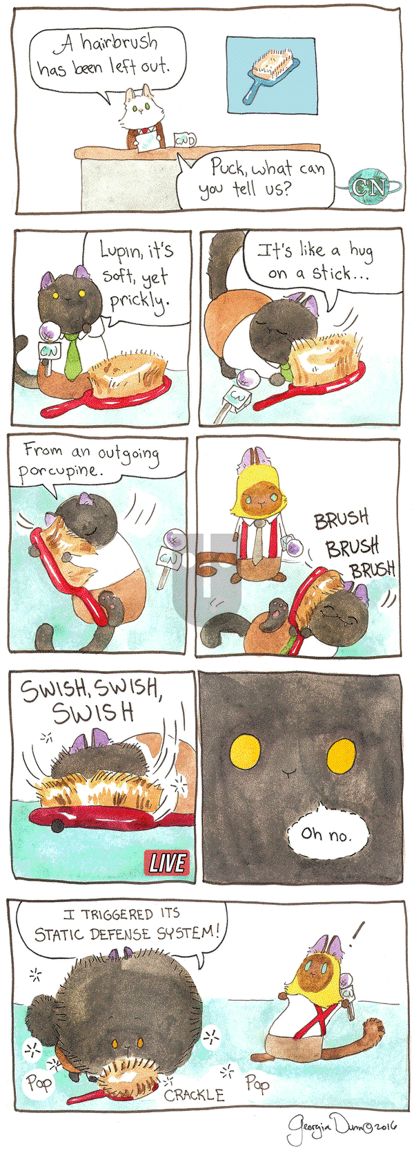 Breaking Cat News on Monday June 13, 2016 Comic Strip