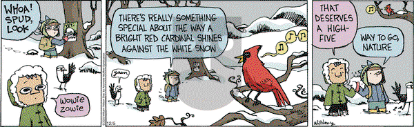 Wallace the Brave on Friday December 5, 2025 Comic Strip