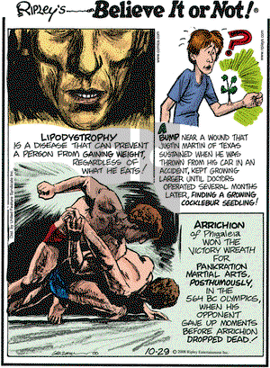 Ripley's Believe It or Not - Wednesday October 29, 2008 Comic Strip