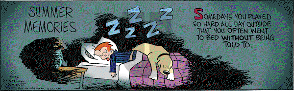 Red and Rover on Saturday June 25, 2016 Comic Strip