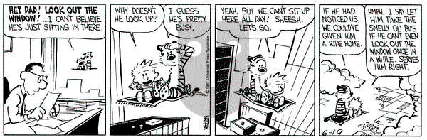 Calvin and Hobbes on Friday June 19, 1987 Comic Strip