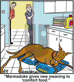 Marmaduke on Thursday August 19, 2021 Comic Strip