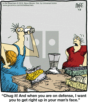 In the Bleachers on Saturday February 8, 2014 Comic Strip