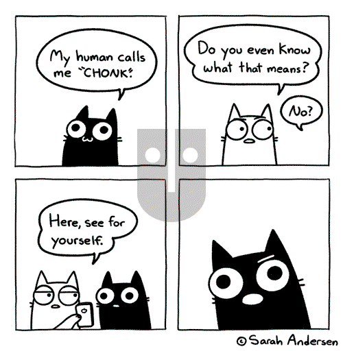 Sarah's Scribbles on Wednesday April 20, 2022 Comic Strip