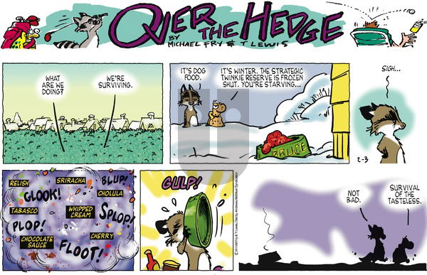 Over the Hedge on Sunday February 3, 2019 Comic Strip