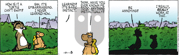 Over the Hedge on Wednesday October 18, 2017 Comic Strip