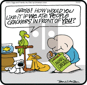 Ziggy on Tuesday November 17, 2015 Comic Strip