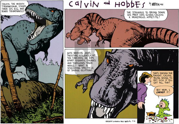 Calvin and Hobbes on Sunday October 31, 1993 Comic Strip