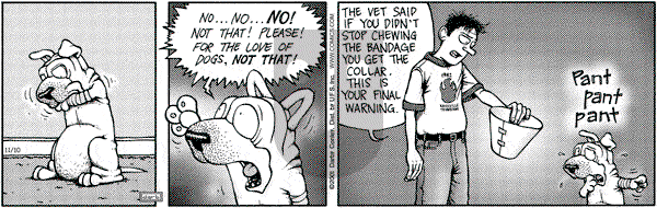 Get Fuzzy on Monday November 12, 2001 Comic Strip