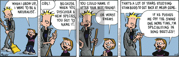 Frazz on Thursday November 13, 2008 Comic Strip