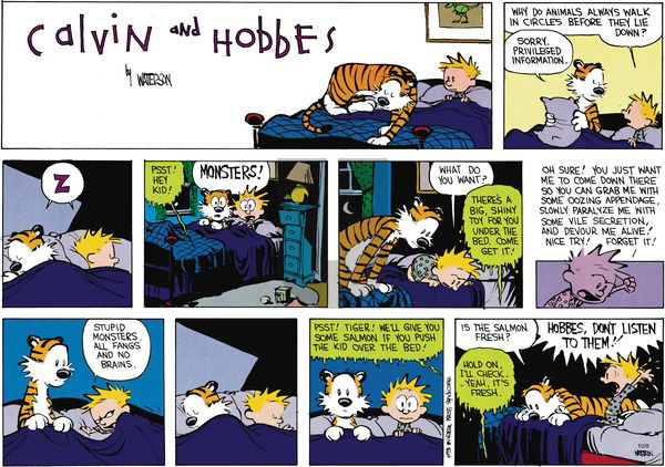 Calvin and Hobbes on Sunday November 25, 1990 Comic Strip