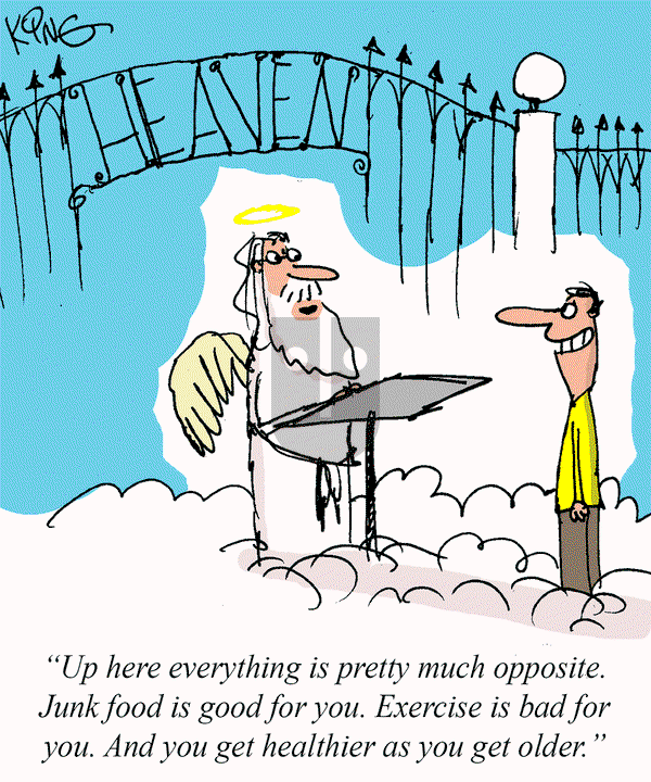 Jerry King Comics on Wednesday December 3, 2025 Comic Strip