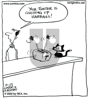 Kit 'N' Carlyle on Saturday October 19, 2002 Comic Strip
