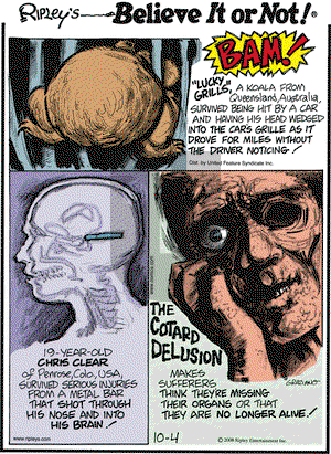 Ripley's Believe It or Not on Saturday October 4, 2008 Comic Strip
