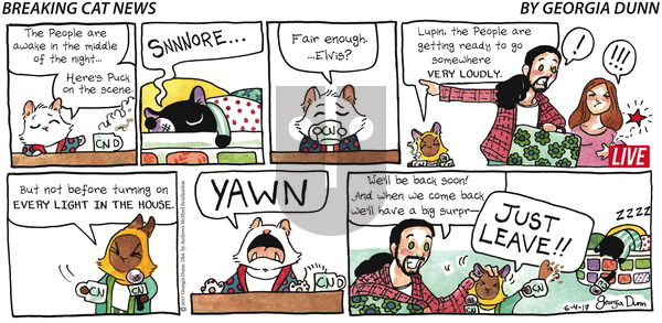 Breaking Cat News on Sunday June 4, 2017 Comic Strip