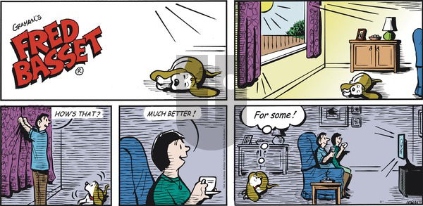 Fred Basset on Sunday August 1, 2021 Comic Strip