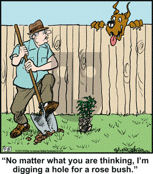 Marmaduke on Thursday May 8, 2025 Comic Strip