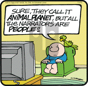 Ziggy on Friday November 15, 2013 Comic Strip