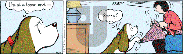 Fred Basset on Friday November 5, 2010 Comic Strip