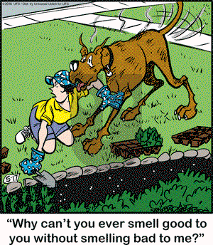 Marmaduke on Tuesday May 17, 2016 Comic Strip