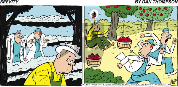 Brevity on Sunday October 29, 2017 Comic Strip