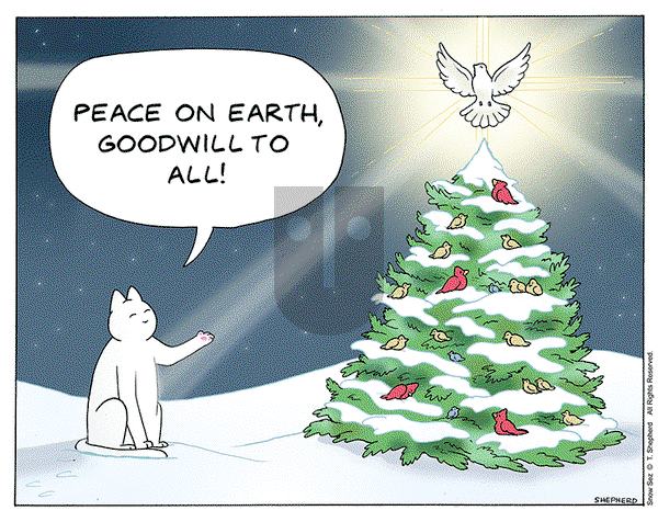 Snow Sez on Monday December 25, 2023 Comic Strip