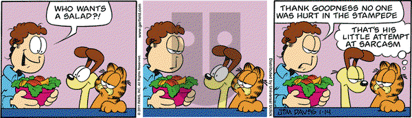 Garfield on Friday January 14, 2011 Comic Strip