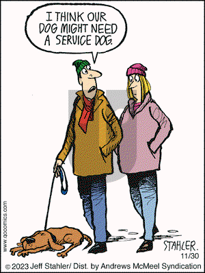 Moderately Confused - Thursday November 30, 2023 Comic Strip