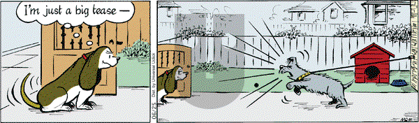 Fred Basset on Tuesday June 25, 2013 Comic Strip