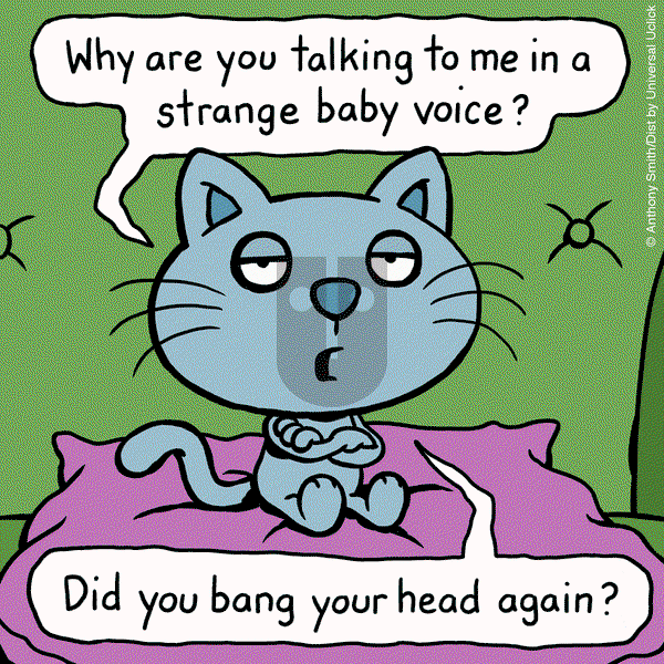 Cattitude — Doggonit on Wednesday May 14, 2025 Comic Strip