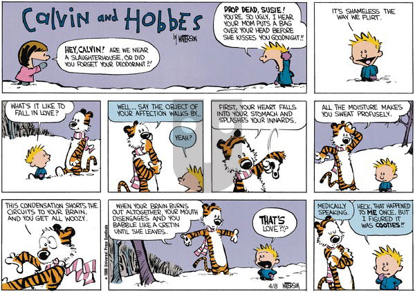 Calvin and Hobbes on Sunday May 26, 1991 Comic Strip