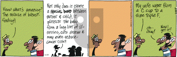 The Knight Life on Monday November 29, 2010 Comic Strip