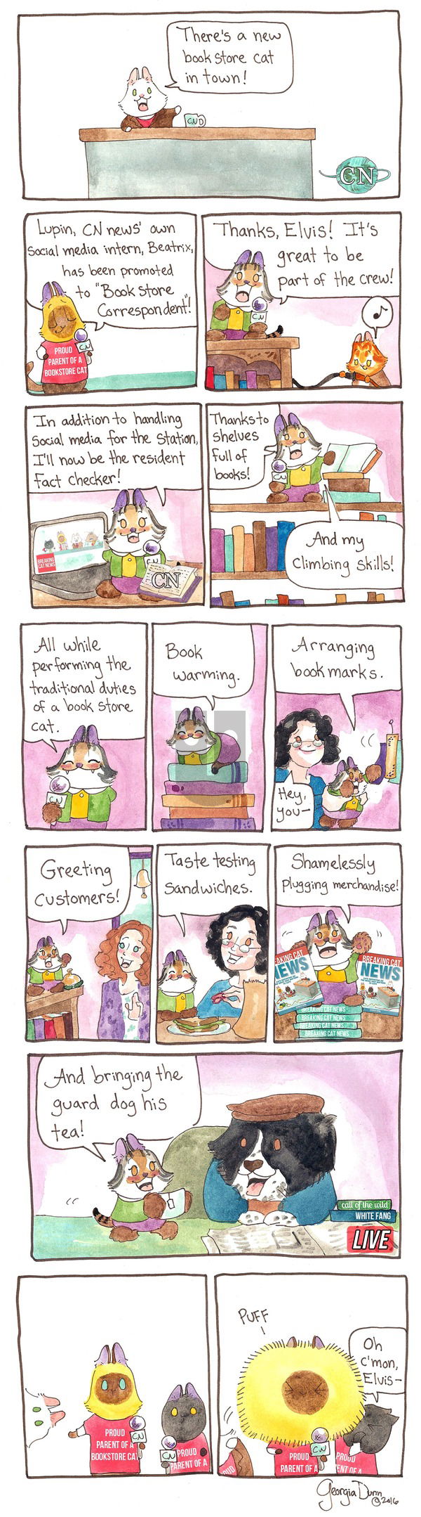 Breaking Cat News on Sunday March 12, 2017 Comic Strip