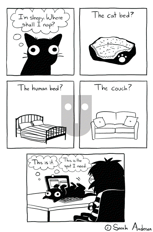 Sarah's Scribbles - Wednesday November 11, 2015 Comic Strip