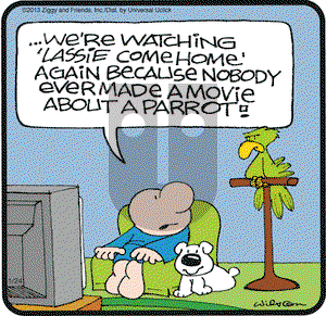 Ziggy - Thursday January 24, 2013 Comic Strip