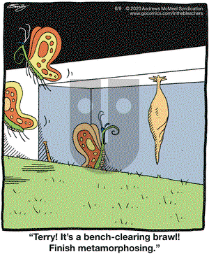 In the Bleachers on Tuesday June 9, 2020 Comic Strip