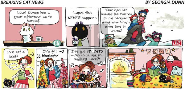 Breaking Cat News on Sunday January 3, 2021 Comic Strip