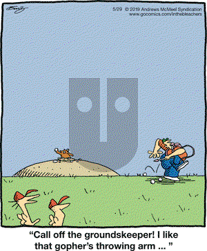 In the Bleachers on Wednesday May 29, 2019 Comic Strip