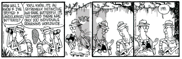 Monty on Friday June 17, 2005 Comic Strip