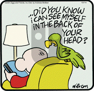 Ziggy on Wednesday October 14, 2020 Comic Strip