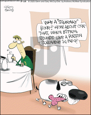 The Flying McCoys on Friday May 23, 2025 Comic Strip